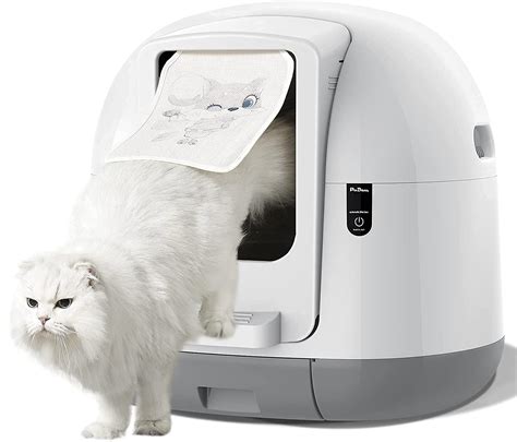 electric litter box recommended litter|best affordable automatic litter box.